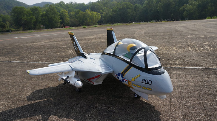 RC Fat Fighter I Fatty I Cartoon Plane I Top Gun Jet! F 14