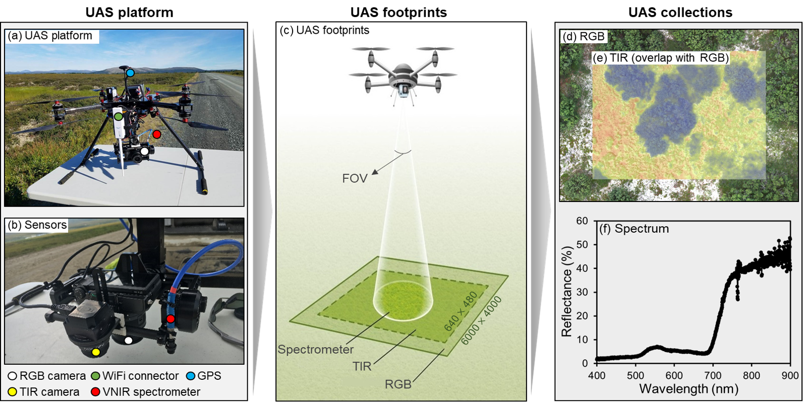 Ein Multi Sensor Luftbildsystem verbessert die Charakterisierung der Vegetationszusammensetzung und der Baumkroneneigenschaften in der arktischen Tundra