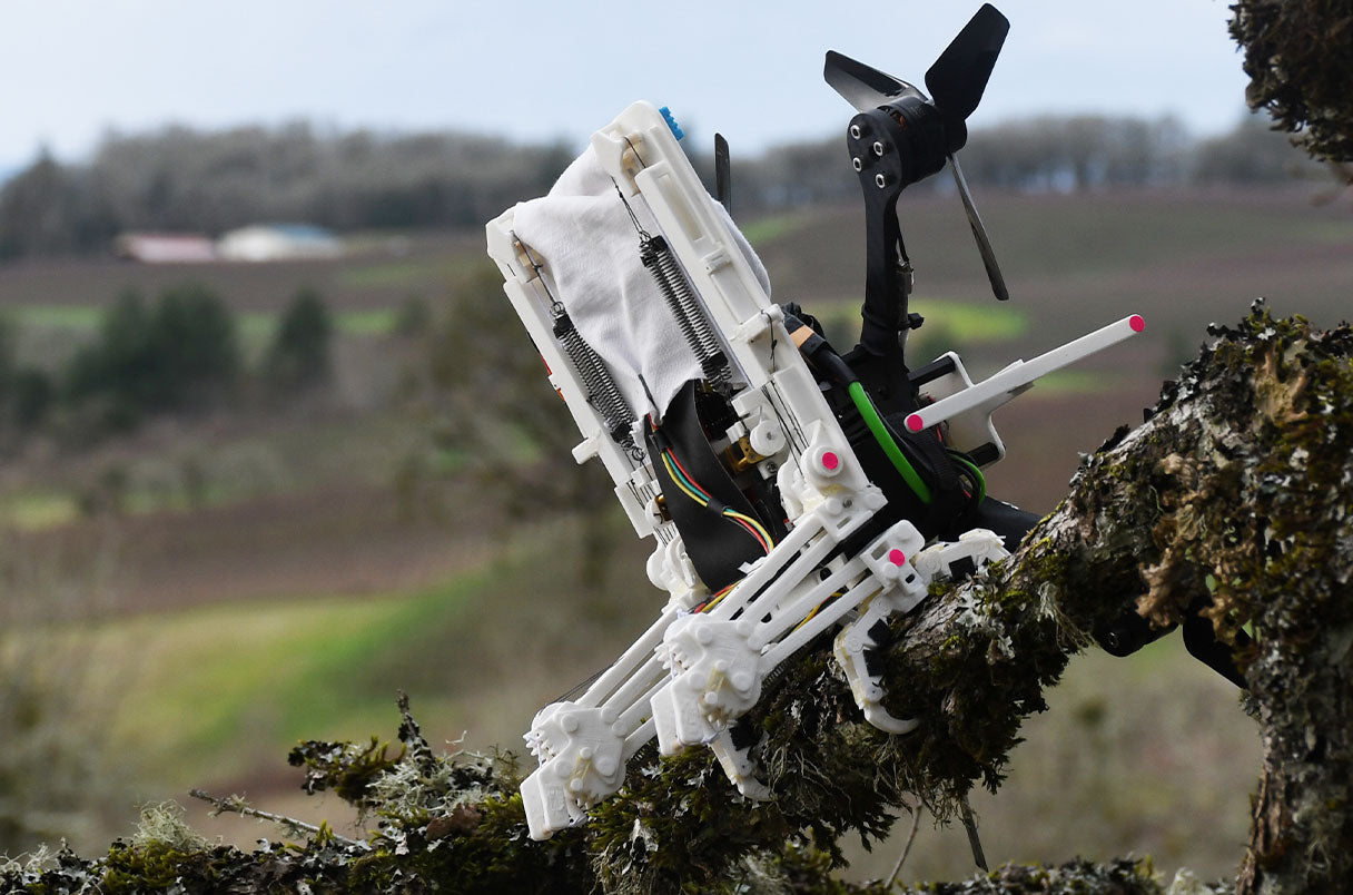 Diese Drohne hat Beine: Beobachten Sie, wie ein fliegender Roboter auf Ästen sitzt und einen Tennisball in der Luft fängt