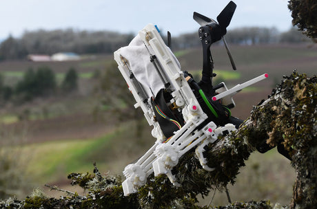Diese Drohne hat Beine: Beobachten Sie, wie ein fliegender Roboter auf Ästen sitzt und einen Tennisball in der Luft fängt