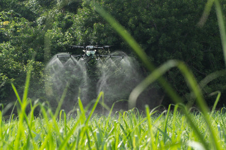 Drohnen zum Besprühen von Pflanzen: Dieser kleine US-Hersteller erobert den Weltmarkt