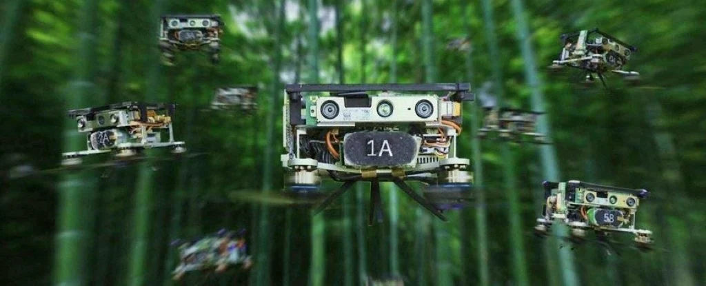 Unglaubliche Aufnahmen zeigen, wie Drohnenschwärme mit unheimlicher Präzision durch dichten Wald navigieren