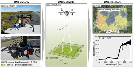 Ein Multi-Sensor-Luftbildsystem verbessert die Charakterisierung der Vegetationszusammensetzung und der Baumkroneneigenschaften in der arktischen Tundra