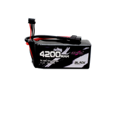 CNHL 3S 4200mAh Shorty 30C 11,1 V XT60 Lipo Akku ( 2 Stück )