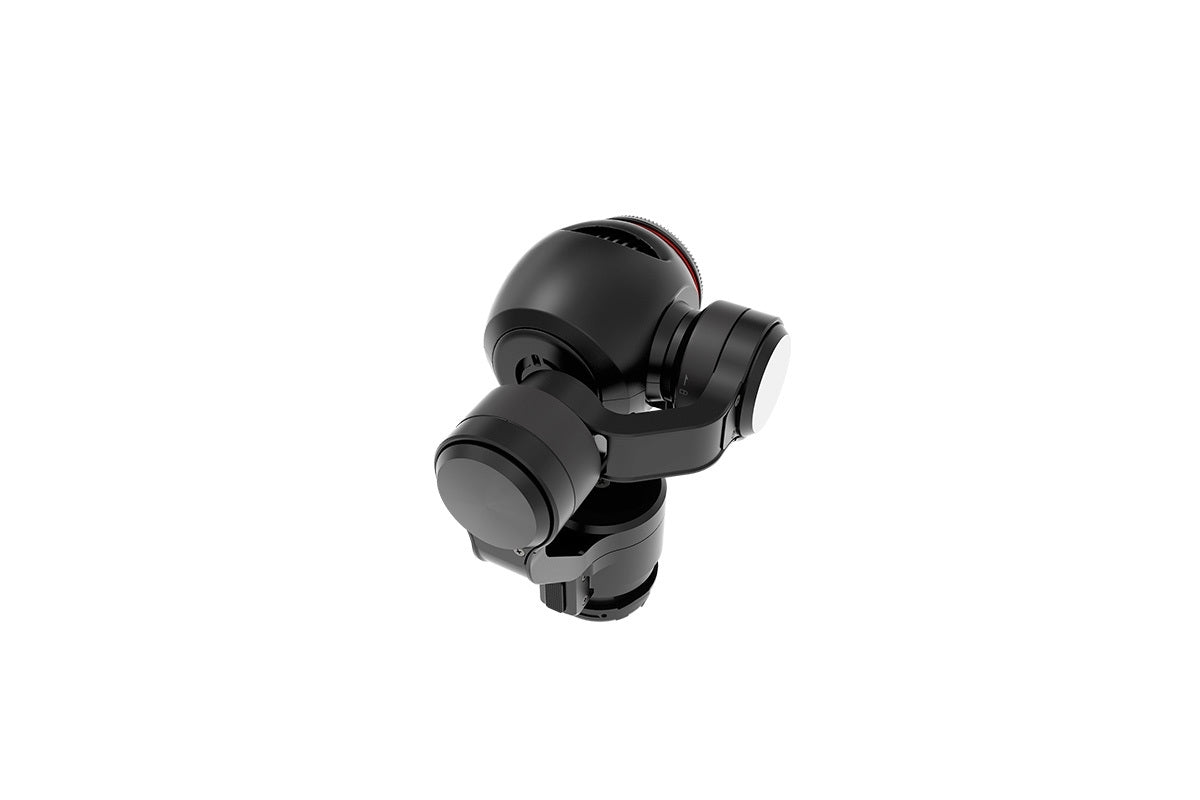DJI Osmo Gimbal und Kamera (P25)
