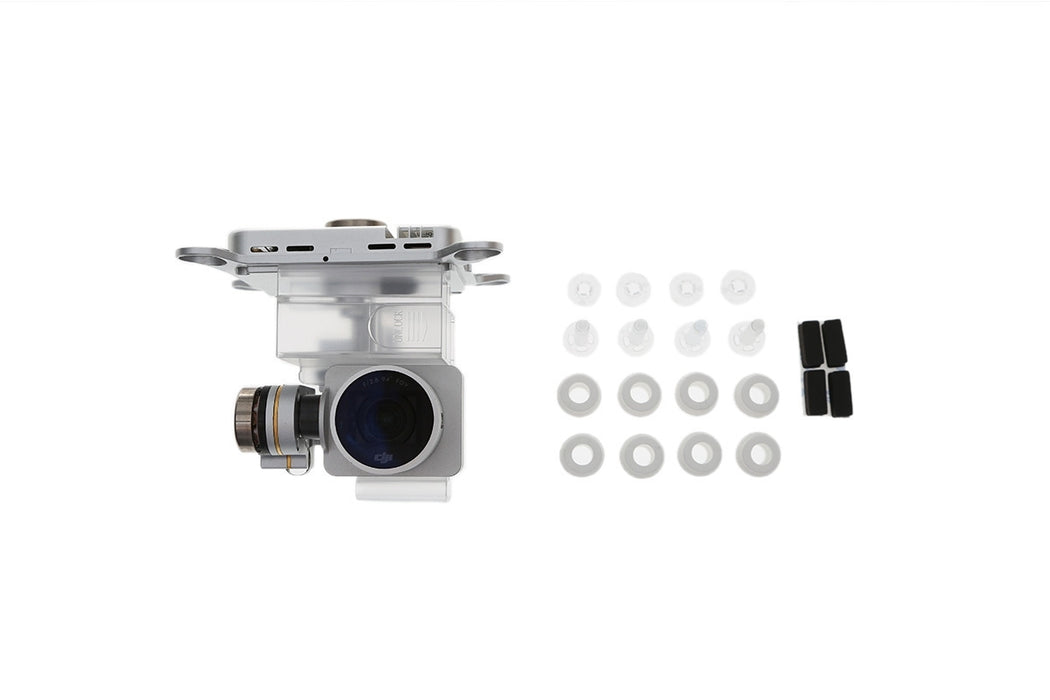 DJI Phantom 3 Kamera (Pro) (P05)