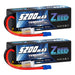 Zeee 3S Lipo Akku 5200mAh 11.1V 80C EC3 Hartcase (2er Pack)   LiPo24.de