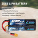 Zeee 3S Lipo Akku 5200mAh 11.1V 80C mit XT60 Stecker Hard Case Akku für RC Car RC Modelle (2 Pack)   LiPo24.de