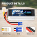 Zeee 6S Lipo Akku 5200mAh 22,2V 100C mit EC5 Anschluss für RC Car RC Modelle (2 Pack)   LiPo24.de