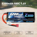 Zeee 2S Lipo Akku 7.4V 5200mAh 100C Dean (2 Pack)   LiPo24.de
