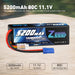 Zeee 3S Lipo Akku 5200mAh 11.1V 80C mit EC5 Anschluss Hardcase Akku für RC Car Racing Modelle (2 St.))   LiPo24.de