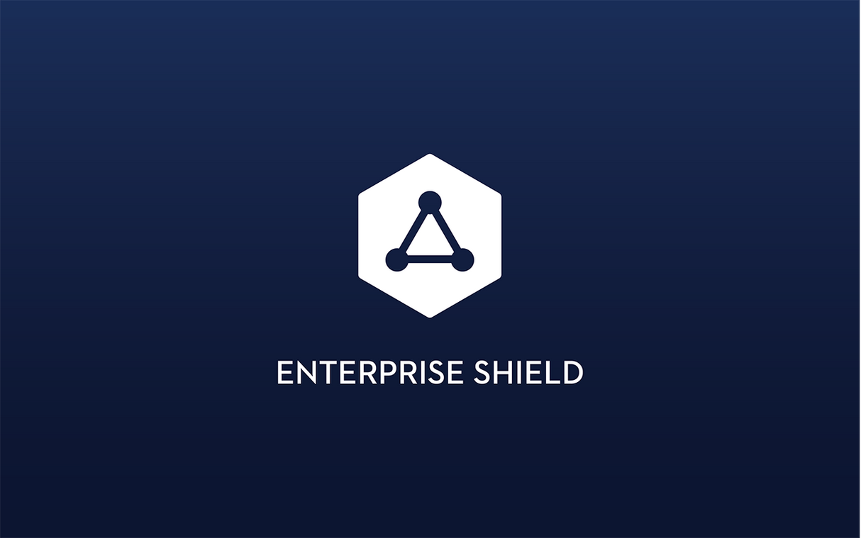 DJI Mavic 2 Advanced Care Enterprise Plus
