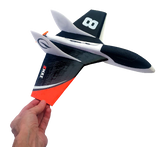 Microbirds Micro Falcon RC Elektro-Jet
