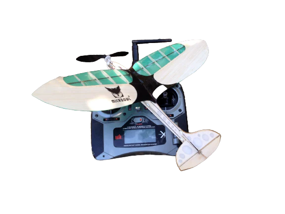 Microbirds  Micro Owl – Elektro RC Segelflugzeug inkl. Powerpack