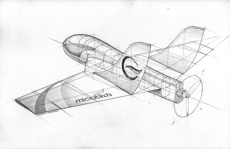 Microbirds Micro Falcon RC Elektro-Jet