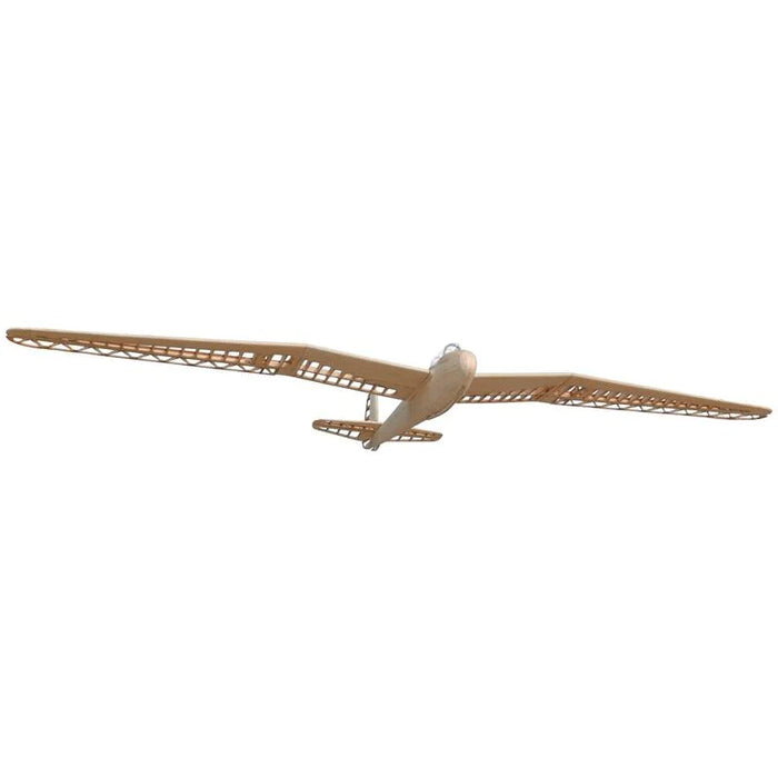 Tony Ray DFS Kranich Scaleflyer 1498mm